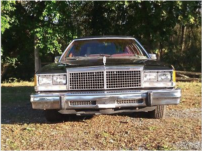 1979 Ford Crown Victoria WOODGRAIN - photo 6