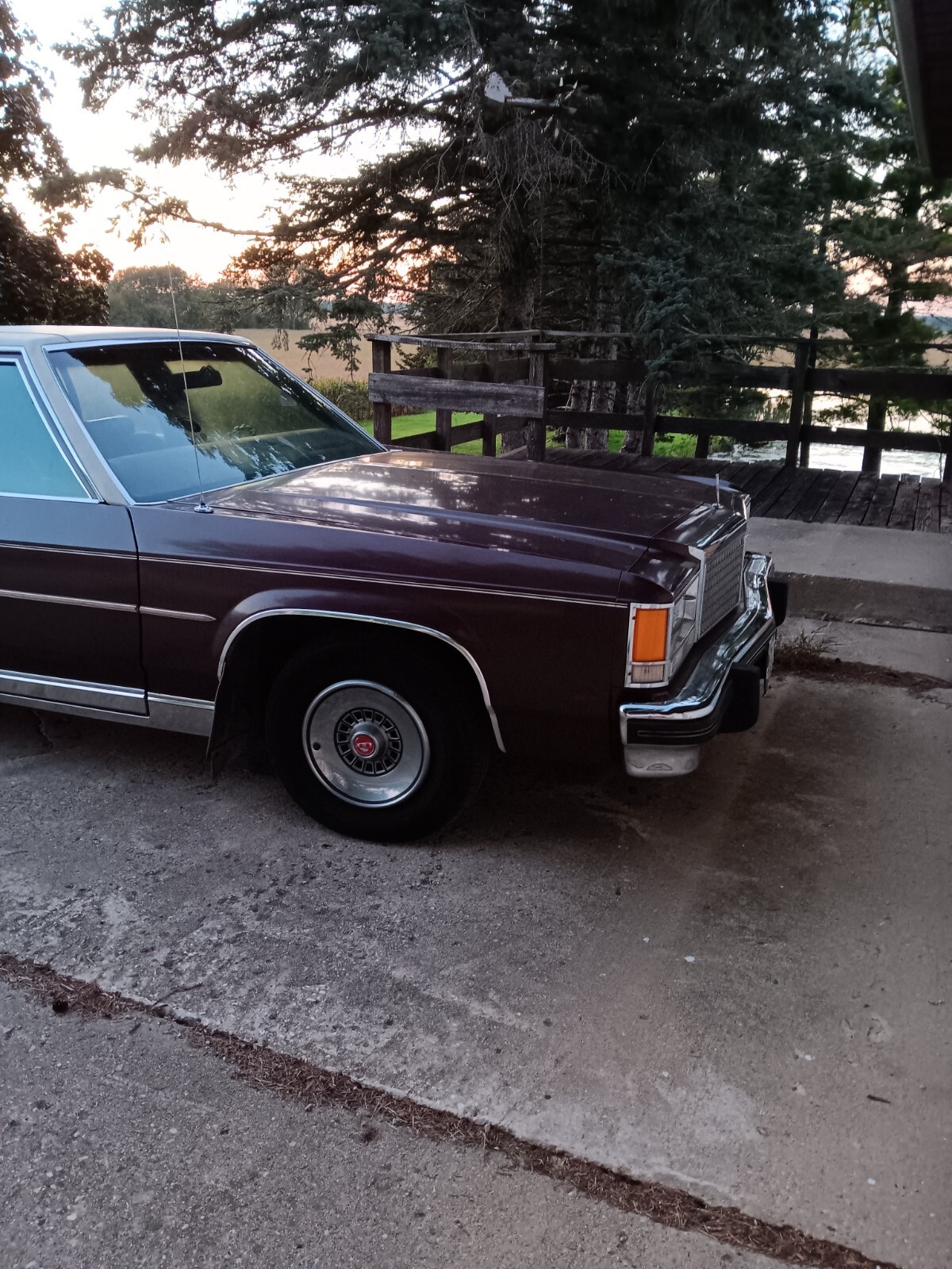 1979 Ford LTD - photo 4