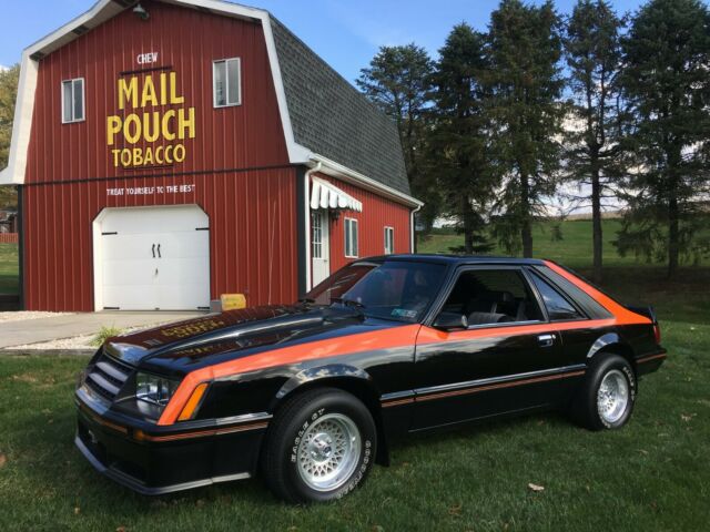 1979 Ford Mustang 1 OWNER! 19K ORIGINAL MILES! 1979 Ford Mustang