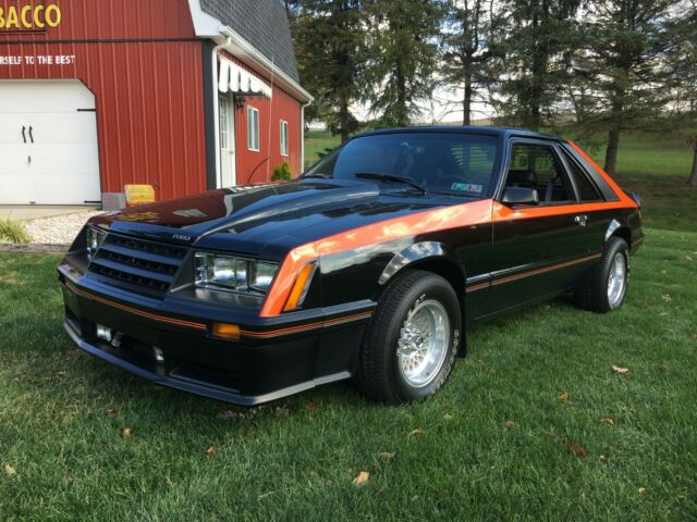 1979 Ford Mustang - photo 3