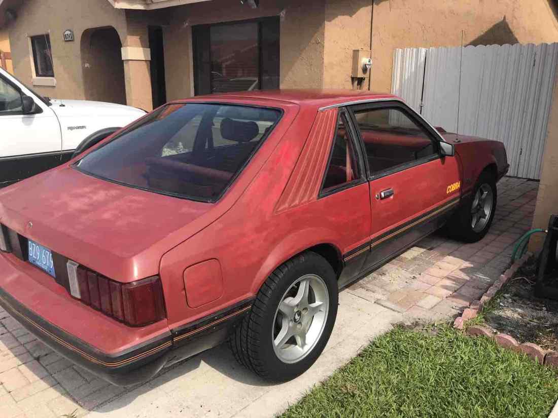 1979 Ford Mustang 4.9 - photo 4