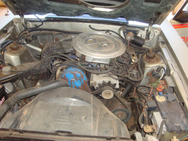 1979 Ford Mustang Base Hatchback 2-Door - photo 13