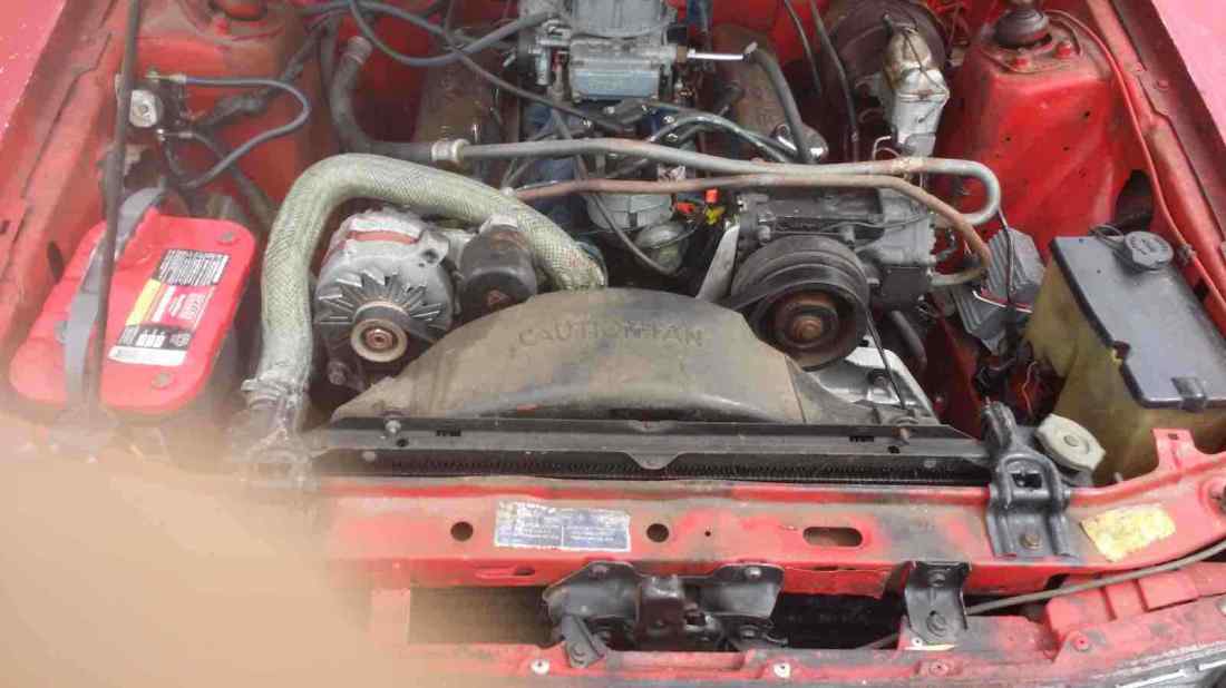 1979 Ford Mustang - photo 12
