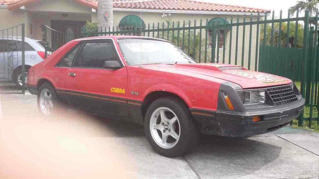 1979 Ford Mustang - photo 3