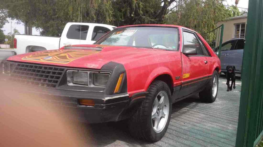 1979 Ford Mustang - photo 5