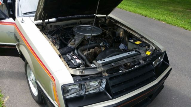 1979 Ford Mustang Indianapolis 500 Pace Car - photo 11
