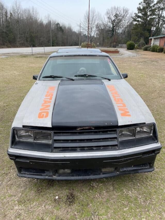 1979 Ford Mustang - photo 4