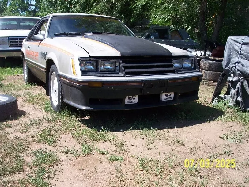 1979 Ford Mustang - photo 4