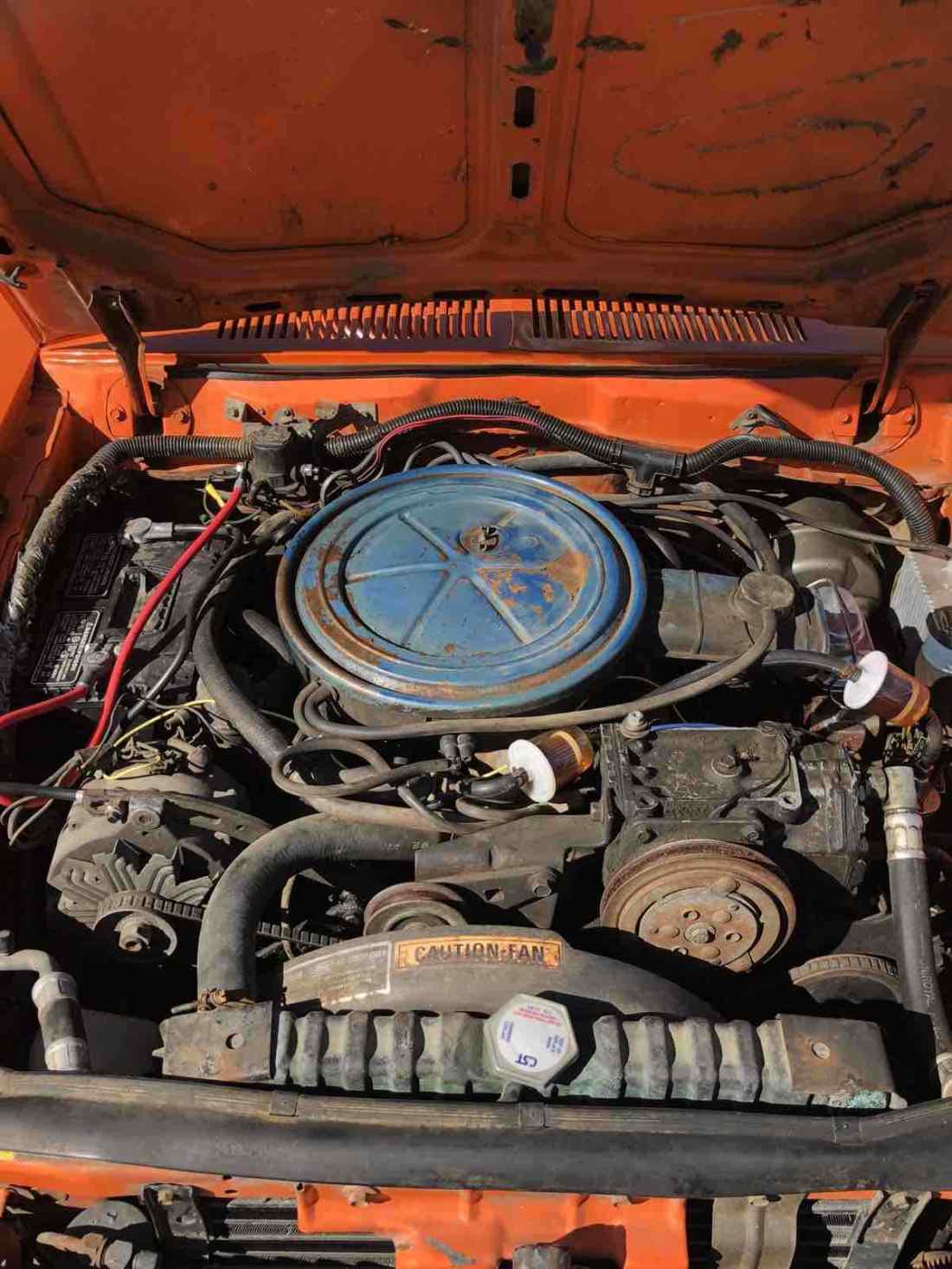 1979 Ford Pinto - photo 10