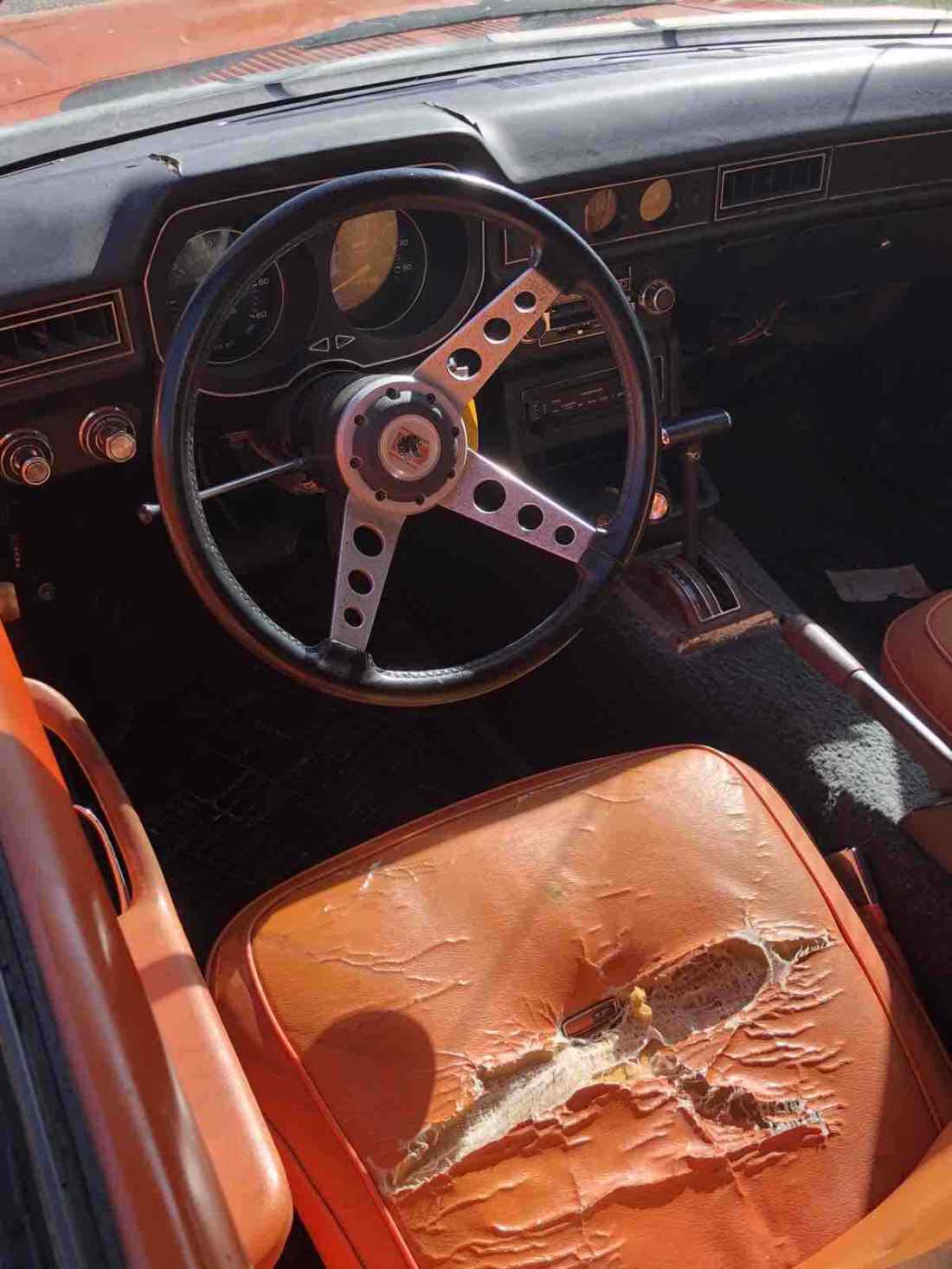 1979 Ford Pinto - photo 6