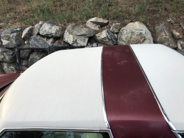 1979 Ford Thunderbird - photo 5