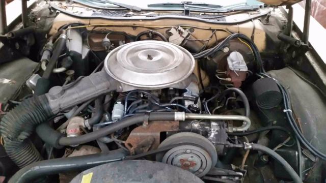 1979 Ford Thunderbird - photo 13