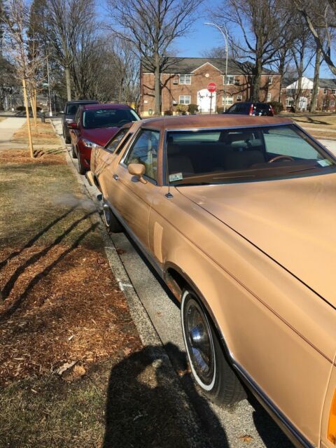1979 Ford Thunderbird - photo 4
