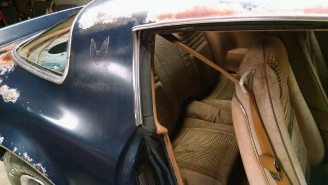 1979 Pontiac Firebird - photo 11