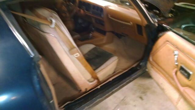 1979 Pontiac Firebird - photo 12