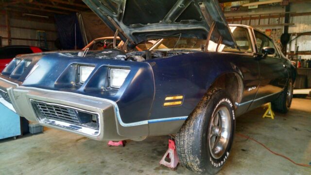 1979 Pontiac Firebird - photo 4