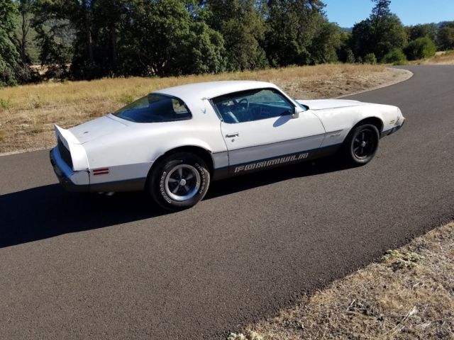 1979 Pontiac Firebird - photo 2