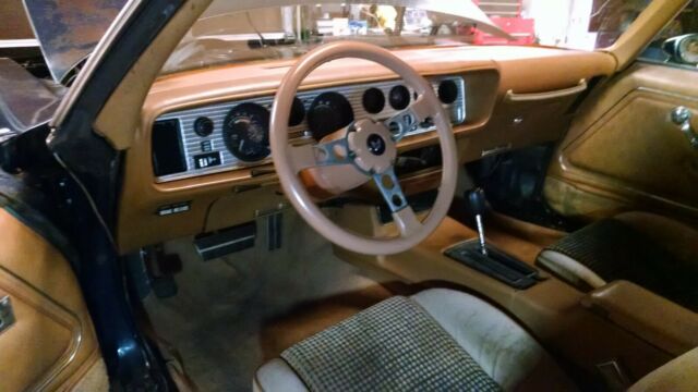 1979 Pontiac Firebird - photo 6