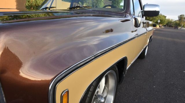 1979 Chevrolet C-10 - photo 9