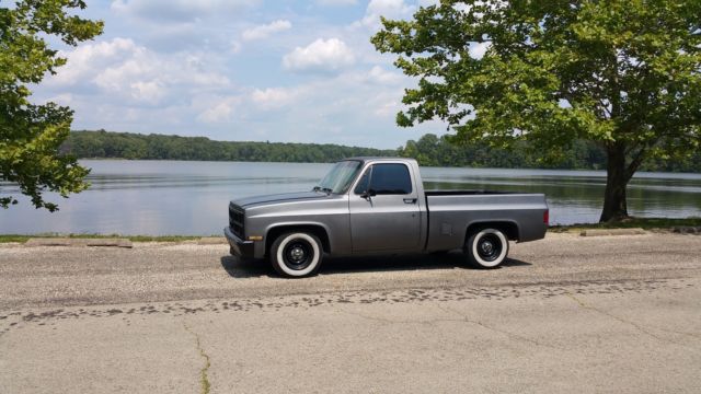 1979 Chevrolet Other Pickups - photo 2