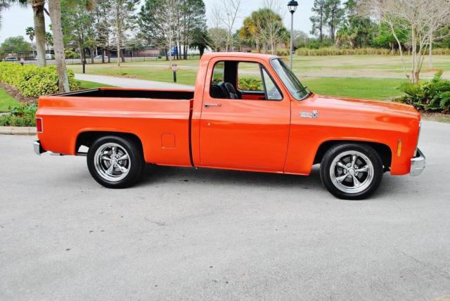 1979 GMC C1500 / Chevrolet C10 1979 GMC C1500