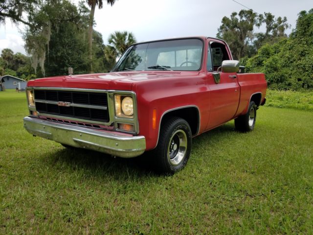 1979 GMC Sierra Grande Sport Coupe - photo 4