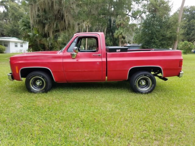 1979 GMC Sierra Grande Sport Coupe - photo 6