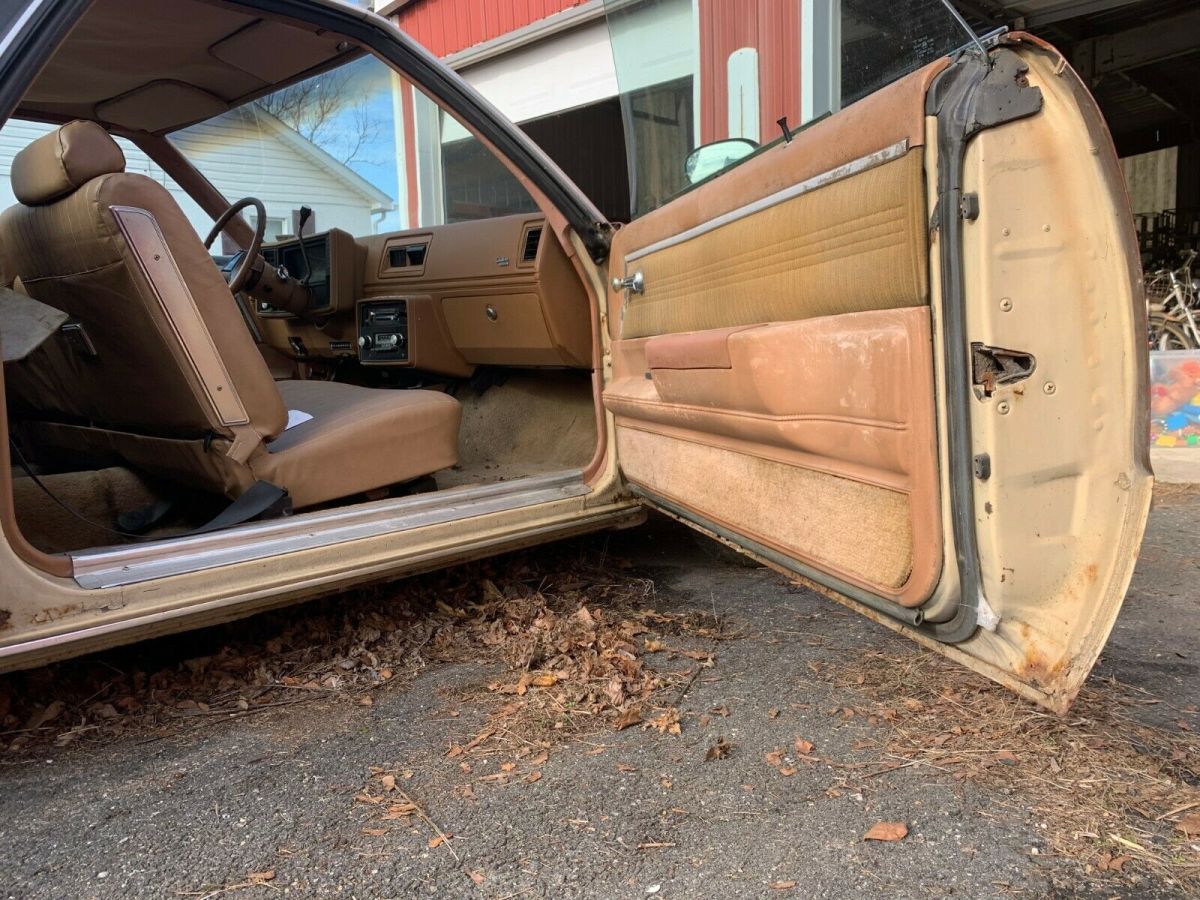 1979 GMC Caballero - photo 10