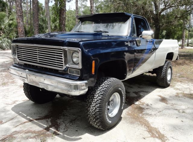 1979 GMC Sierra 1500 Sierra - photo 3
