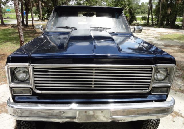 1979 GMC Sierra 1500 Sierra - photo 8
