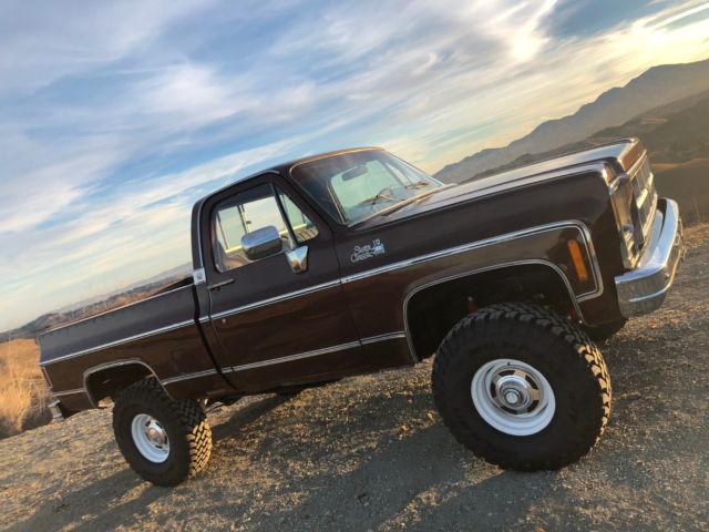 1979 Chevrolet C/K Pickup 1500 - photo 12