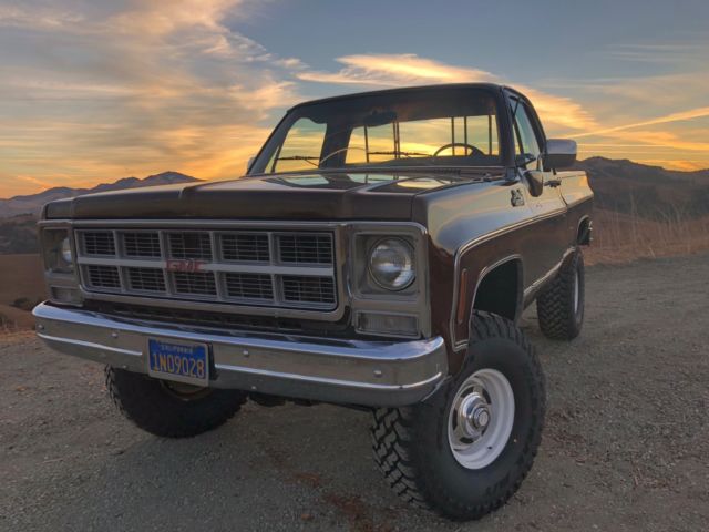 1979 Chevrolet C/K Pickup 1500 - photo 5