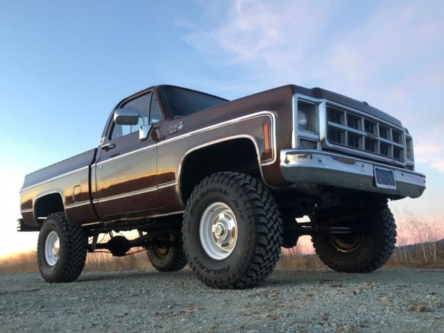 1979 Chevrolet C/K Pickup 1500 - photo 9
