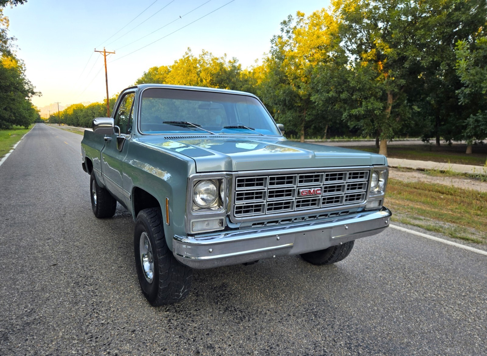 1979 GMC Other Sierra Grande - photo 4