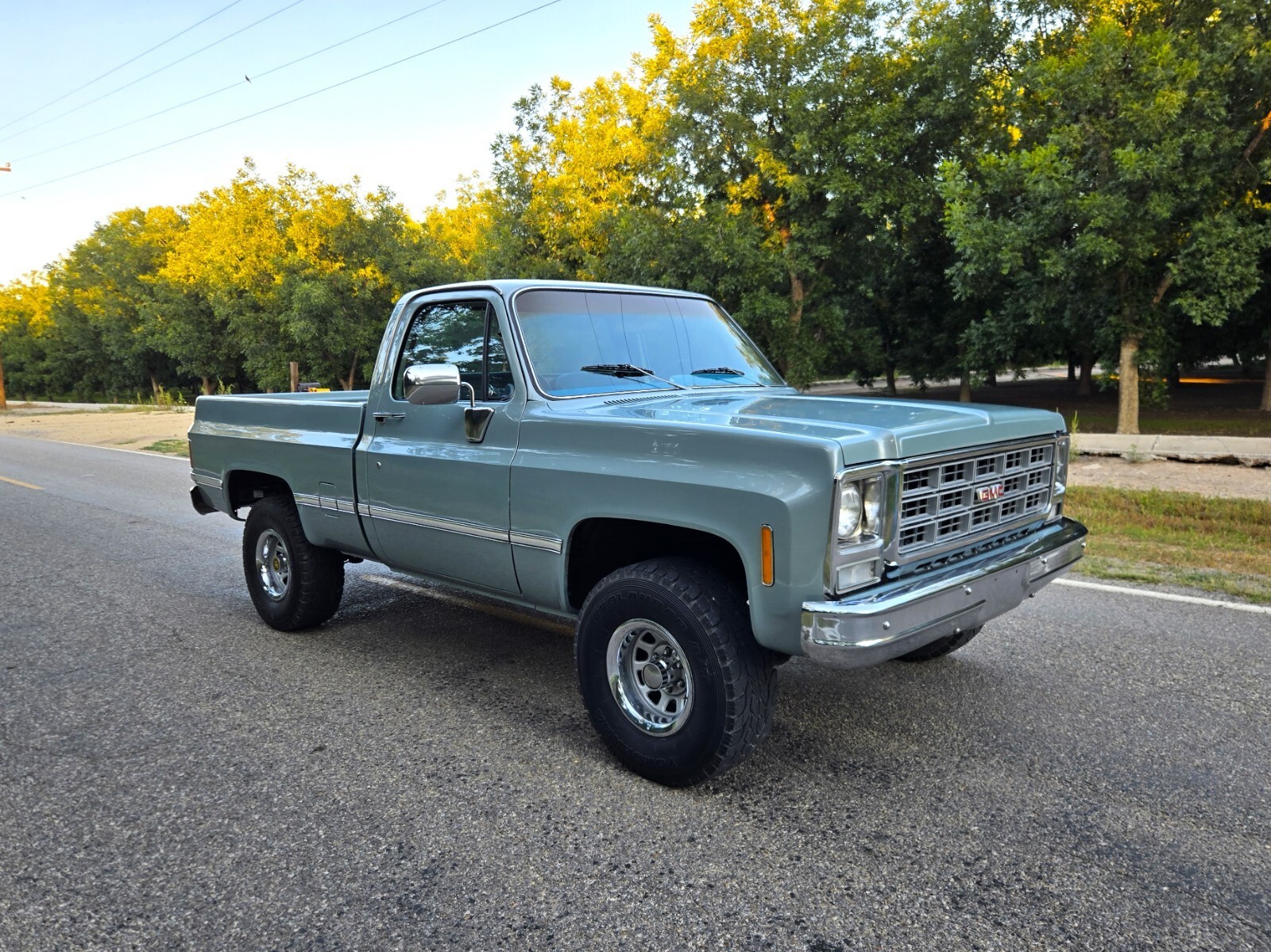 1979 GMC Other Sierra Grande - photo 5