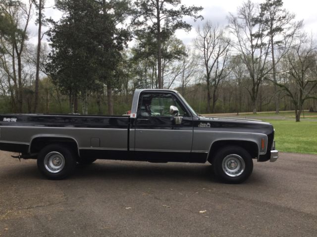 1979 GMC Sierra 1500 '79 Sierra Classic