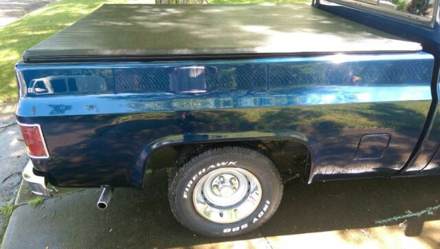 1979 GMC Sierra 1500 - photo 6