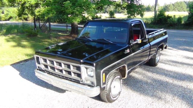 1979 GMC Sierra 1500 - photo 9