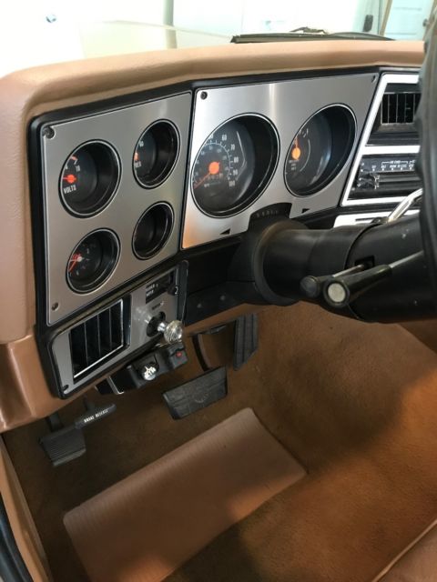 1979 GMC Sierra 1500 Sierra Classic - photo 5