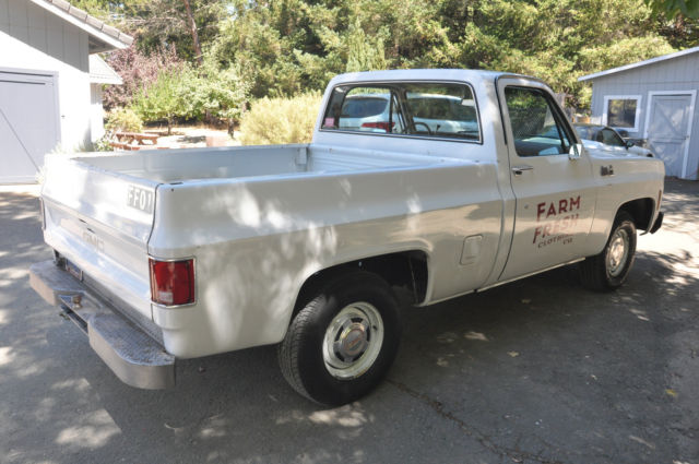1979 GMC Sierra 1500 - photo 5