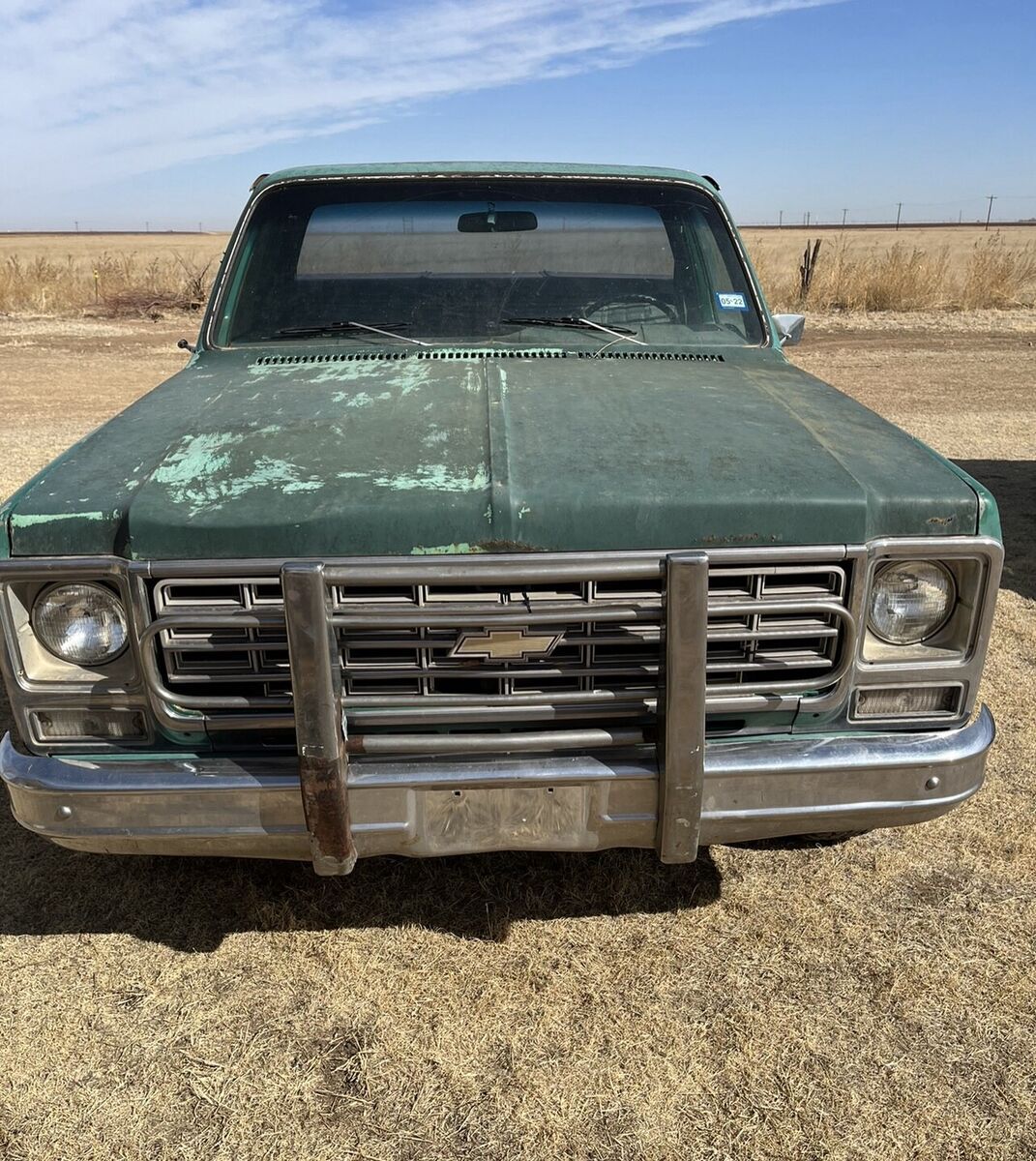1979 GMC Sierra - photo 4