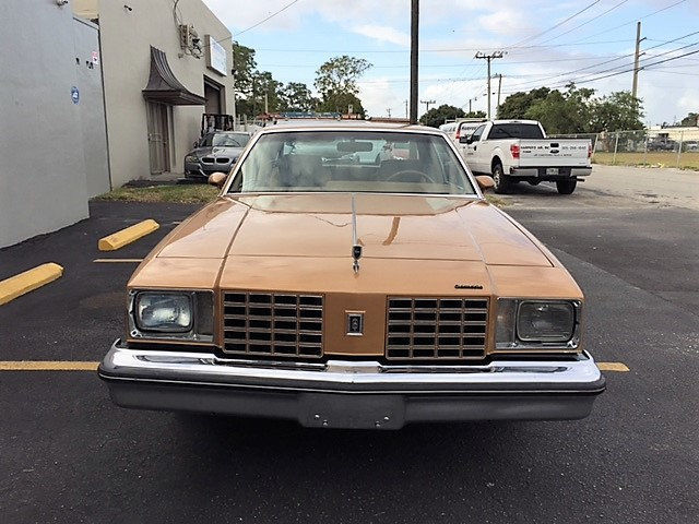 1979 Oldsmobile Cutlass - photo 10