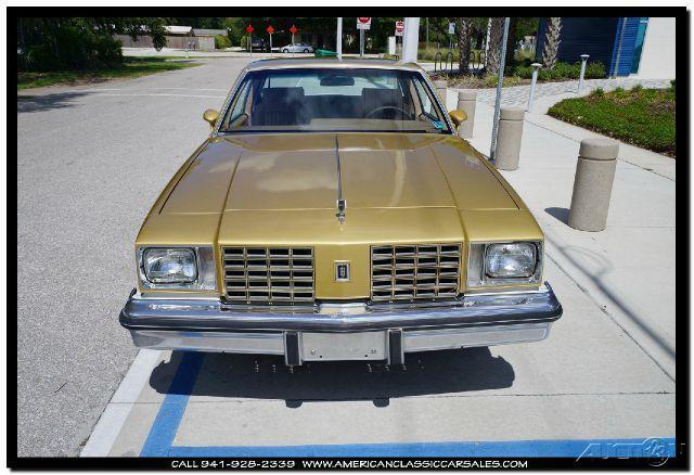 1979 Oldsmobile Cutlass Hurst-Olds W-30 - photo 11