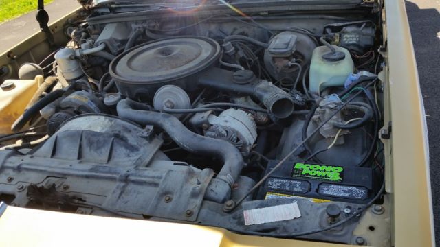 1979 Oldsmobile Cutlass Hurst Olds W-30 Cutlass Calais 442 - photo 10