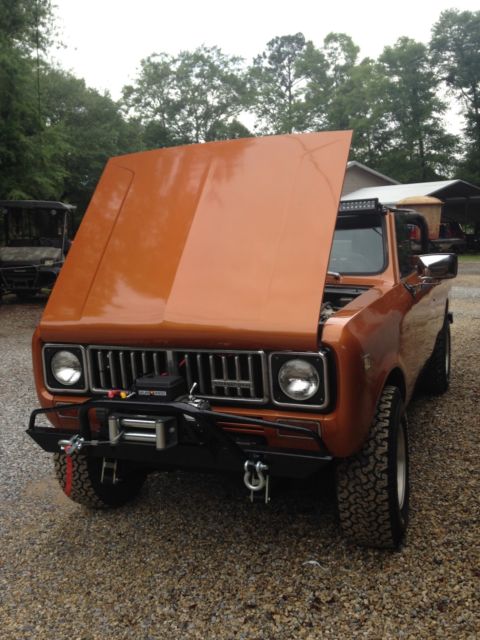 1979 International Harvester Scout terra - photo 7