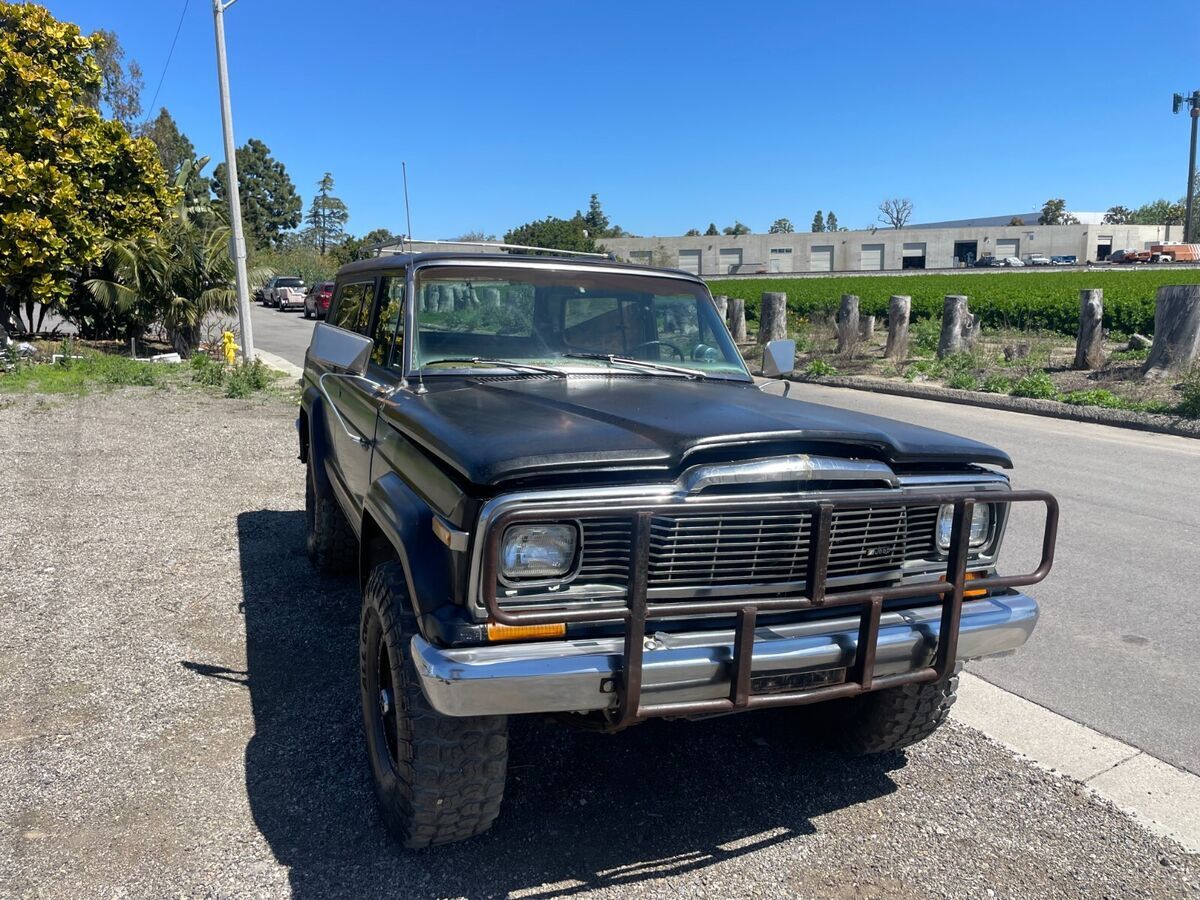 1979 Jeep Cherokee Golden Eagle - photo 13