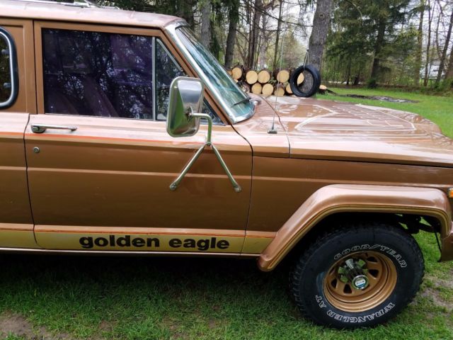1979 Jeep Cherokee Golden Eagle - photo 13