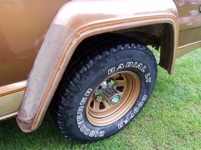 1979 Jeep Cherokee Golden Eagle - photo 6