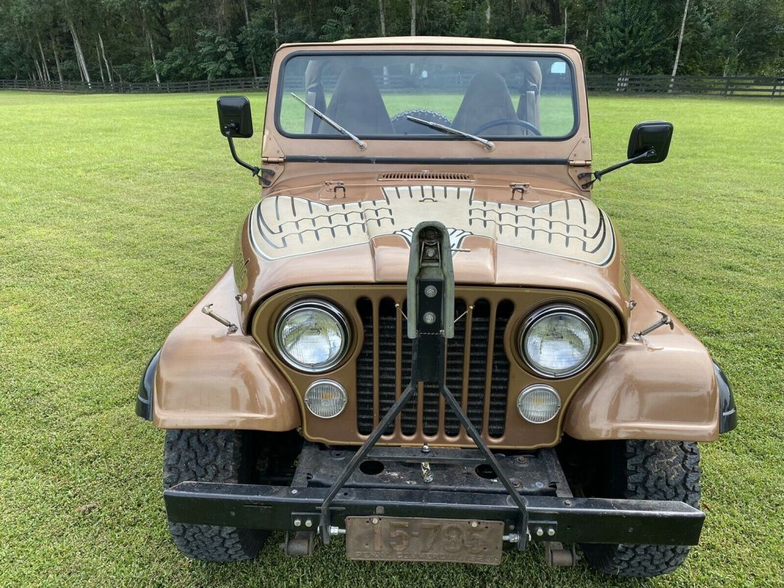 1979 Jeep CJ-5 Golden Eagle - photo 7