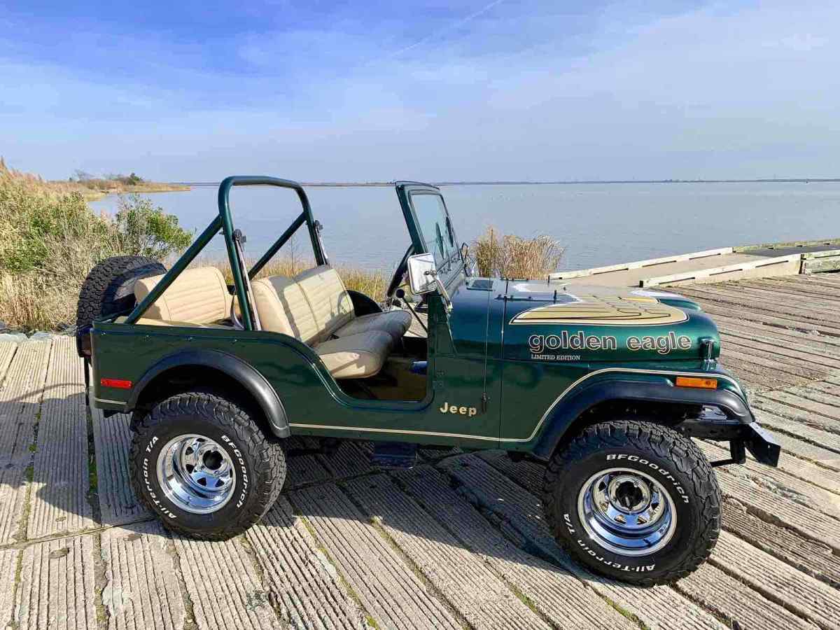 1979 Jeep CJ-5 golden eagle - photo 5